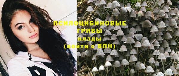 a pvp Няндома