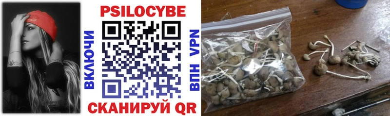 купить закладку Кемь Галлюциногенные грибы Magic Shrooms
